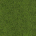 Emerald Green Turf Details