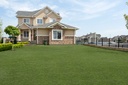 Emerald Green Turf Roll Yard