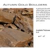 Autumn Gold Boulders 1-2' (Bulk)