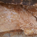 Autumn Gold 4-6" Steps