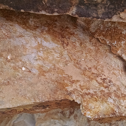 Autumn Gold 5-8" Steps