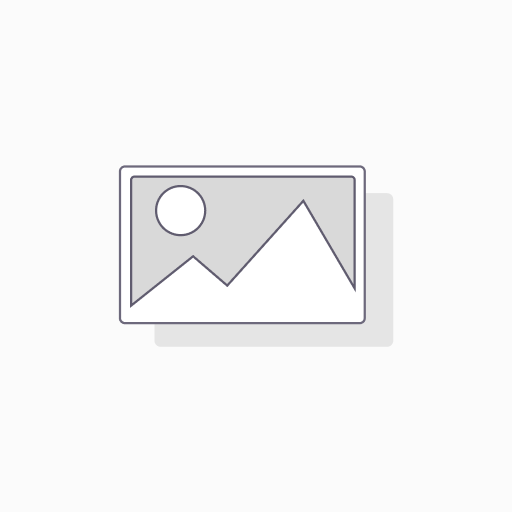 Camino Stone Lg Rec Boston Blend 60mm